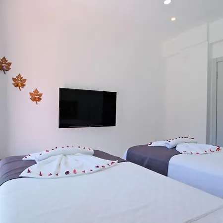 Villa Montana 2