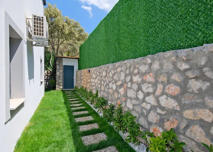 Villa Montana 2